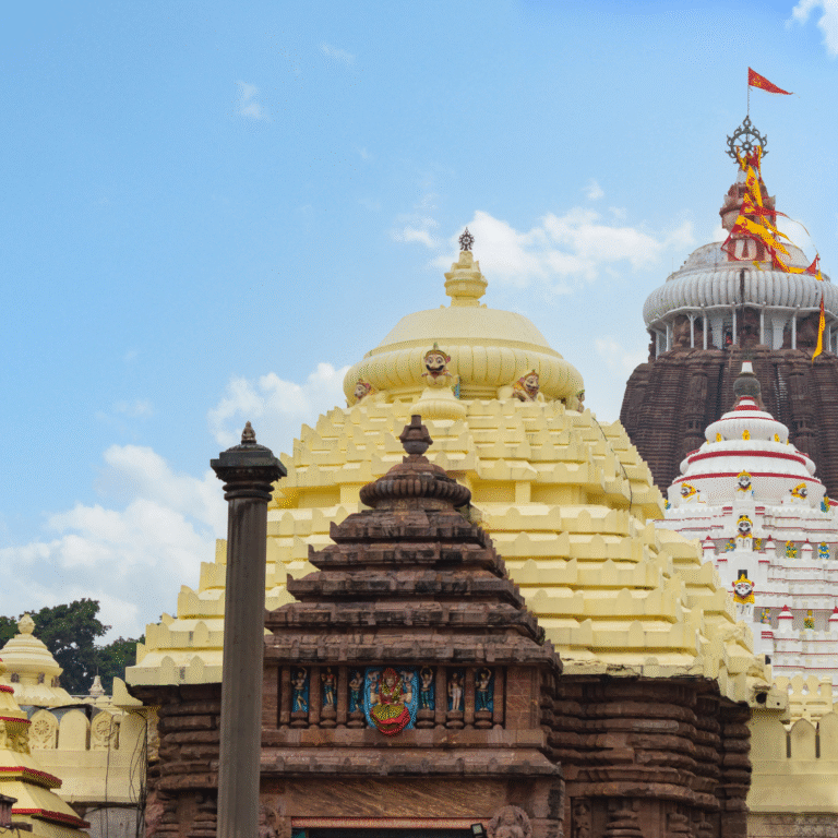 puri jagannath odisha